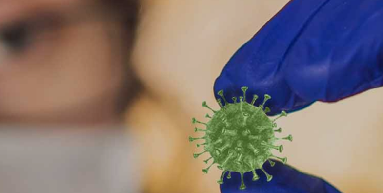 El Seguro mantiene su servicio a los asegurados ante el coronavirus