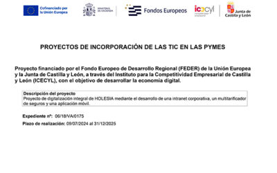 Proyecto «Holesia Connect»